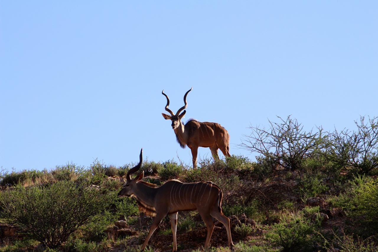 Kgalagadi Lodge Askham Luaran gambar