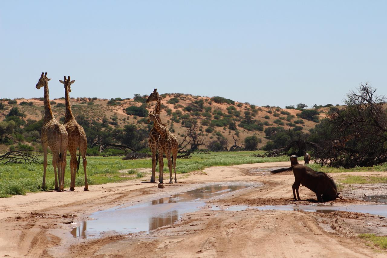Kgalagadi Lodge Askham Luaran gambar